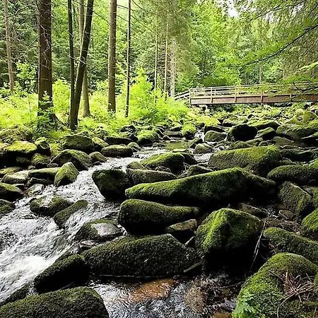 Apartament Fewo Biberpelz Im Suedl. Bayerisch Wald Mit Panorama-Blick Waldkirchen