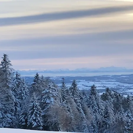Fewo Biberpelz Im Suedl. Bayerisch Wald Mit Panorama-Blick Apartament